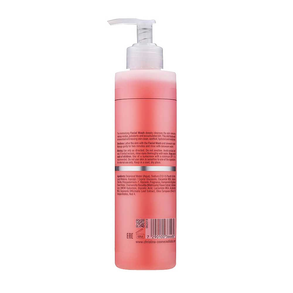 Гель для вмивання Wish-Facial Wash Christina, 300 мл Фото 2
