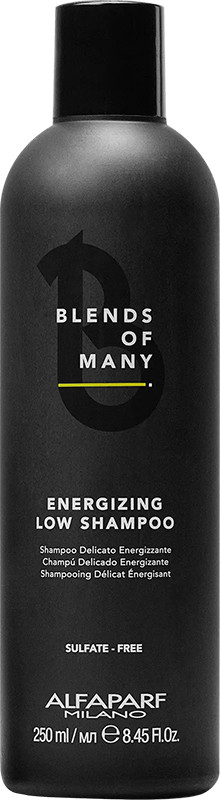Шампунь від випадіння волосся Blends of Many Energizing for Men Alfaparf 250 мл