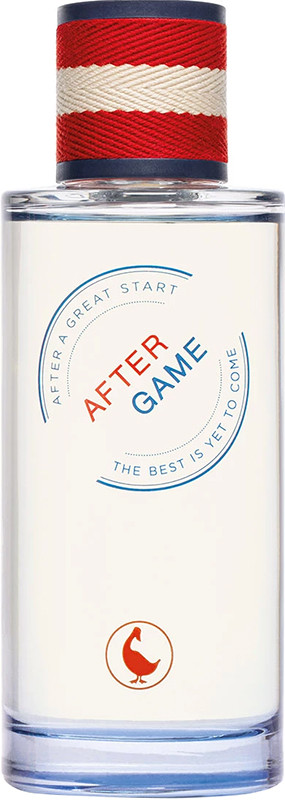 Туалетная вода для мужчин AFTER GAME El Ganso, 125 мл на beauty-prof.com Туалетная вода для мужчин AFTER GAME El Ganso, 125 мл