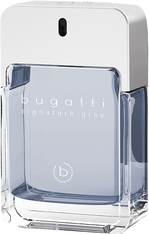 Туалетная вода для мужчин Signature Grey Bugatti, 100 мл 