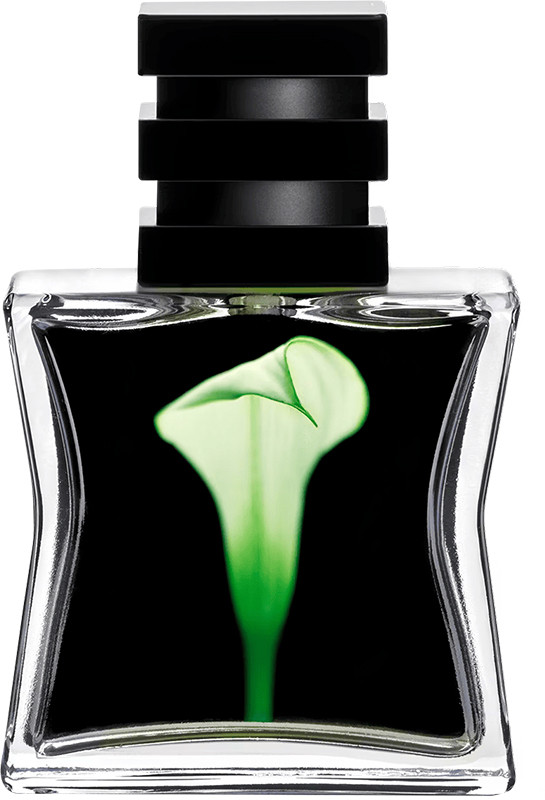 Парфюмерная вода №22 Green SG 79/STHLM, 30 мл 