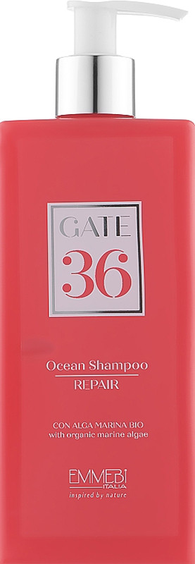 Шампунь відновлюючий Wash Ocean Gate 36 Repair Shampoo Emmebi, 250 мл