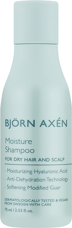 Шампунь для волосся зволожуючий Moisture Shampoo Bjorn Axen, 250 мл
